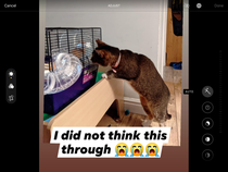 User post image
