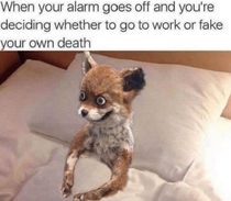 User post image