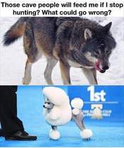 User post image