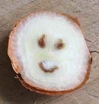 User post image