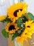 User post image