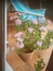 User post image