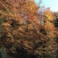 User post image