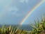 User post image