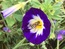 User post image