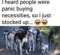 User post image
