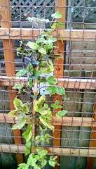 User post image