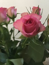 User post image