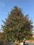 User post image