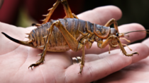 User post image