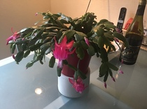 User post image