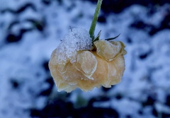 User post image