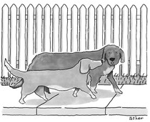 User post image