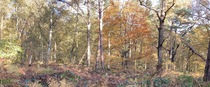 User post image