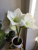 User post image
