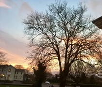 User post image