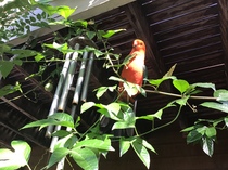 User post image