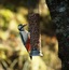 User post image