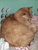 User post image