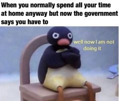 User post image