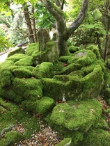 User post image