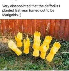 User post image
