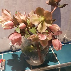 User post image