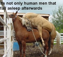 User post image