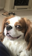 User post image