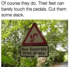 User post image