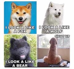 User post image