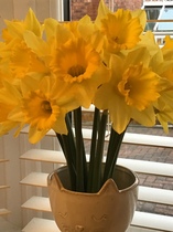 User post image