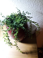 User post image