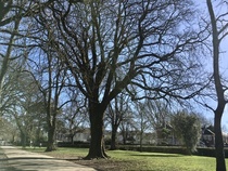 User post image