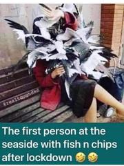 User post image