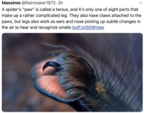 User post image