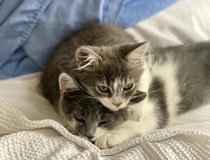 User post image