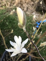User post image
