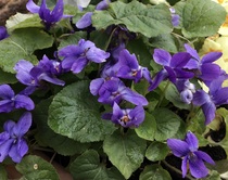 User post image