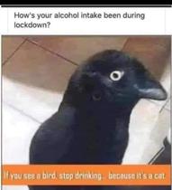 User post image