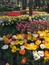 User post image