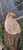 User post image