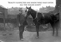 User post image