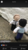 User post image