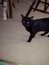 User post image