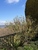 User post image