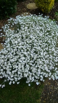 User post image