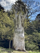 User post image
