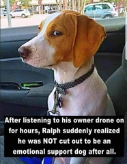 User post image