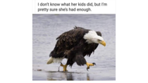 User post image